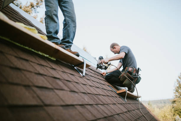 Best Storm Damage Roof Repair  in Lincoln University, PA